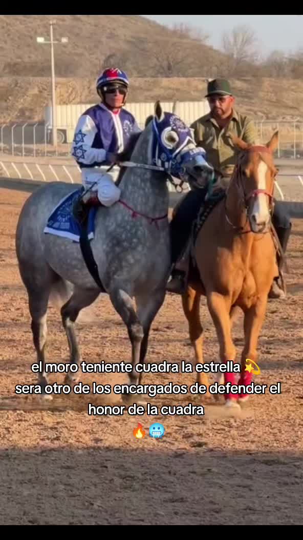@carriles altos de jalisco🐎