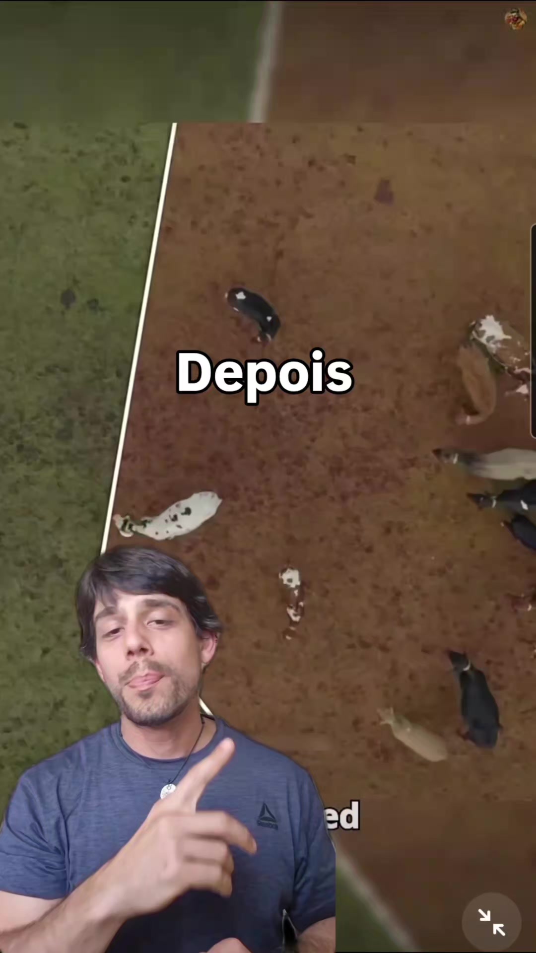 @Olavo Franco Bottino