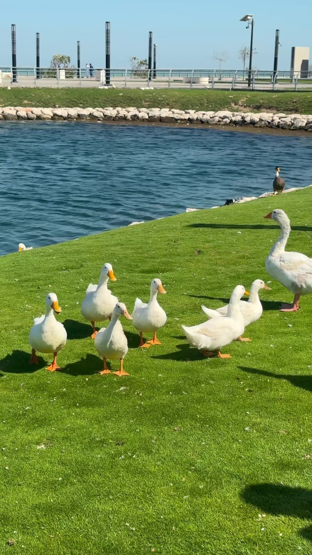 @المصوره وسام| مرخصة إعلامياً📸