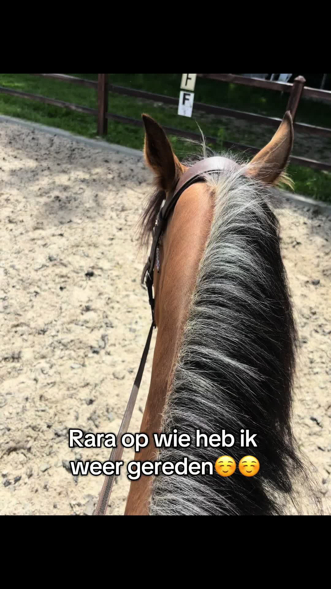 @Syrche Cordewener