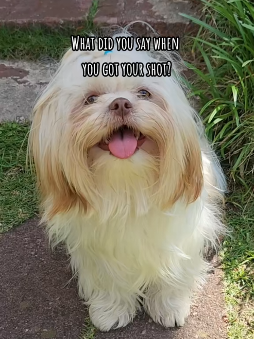 @Little Miss Mollie