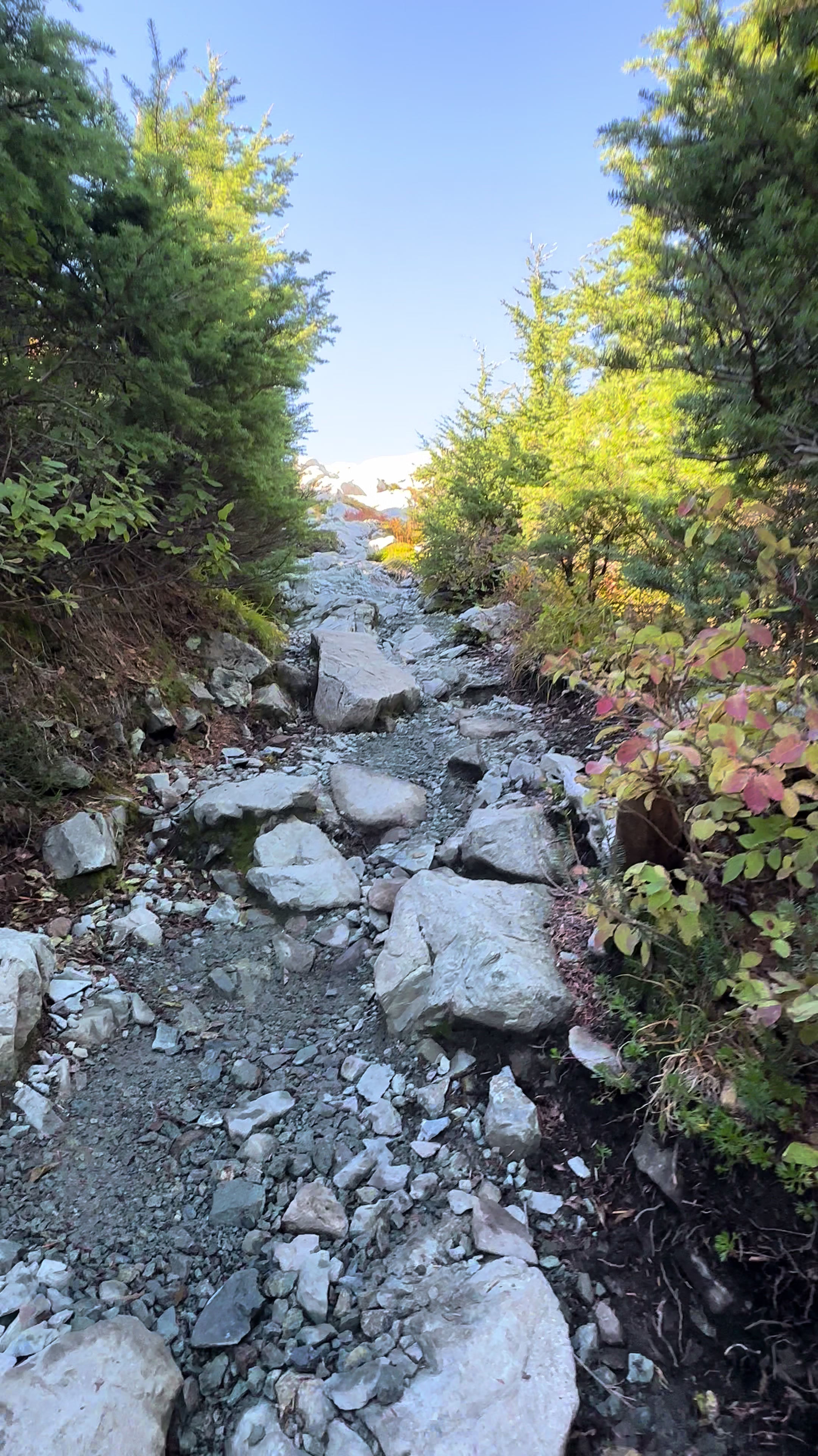 @Experience hiking in Canada