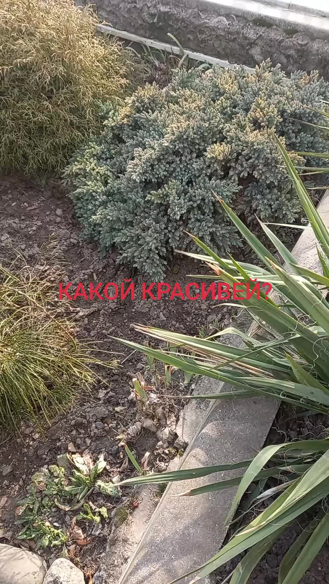 @Наталья Кетько