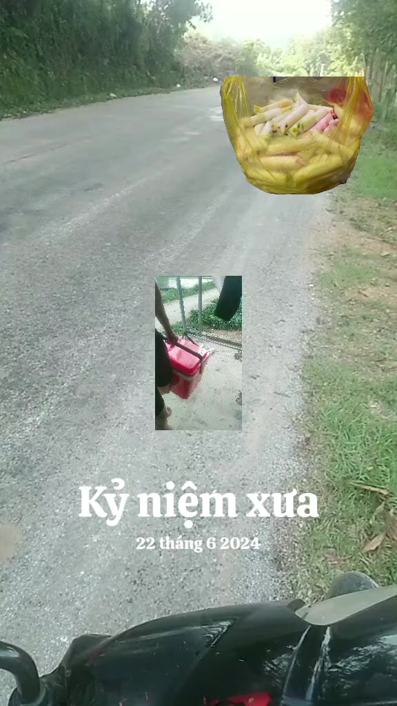 @NẤM LINH CHI1990🍄🟫🇻🇳