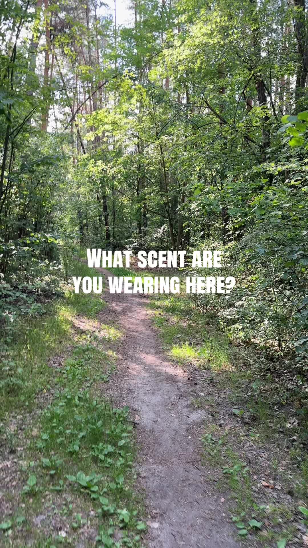 @ScentFinesse