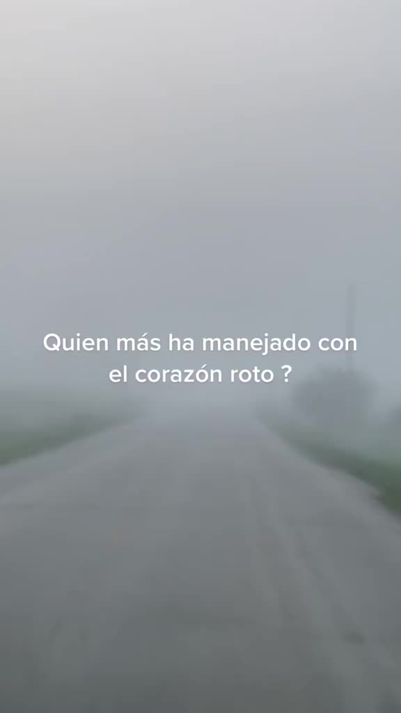 @addiesorto