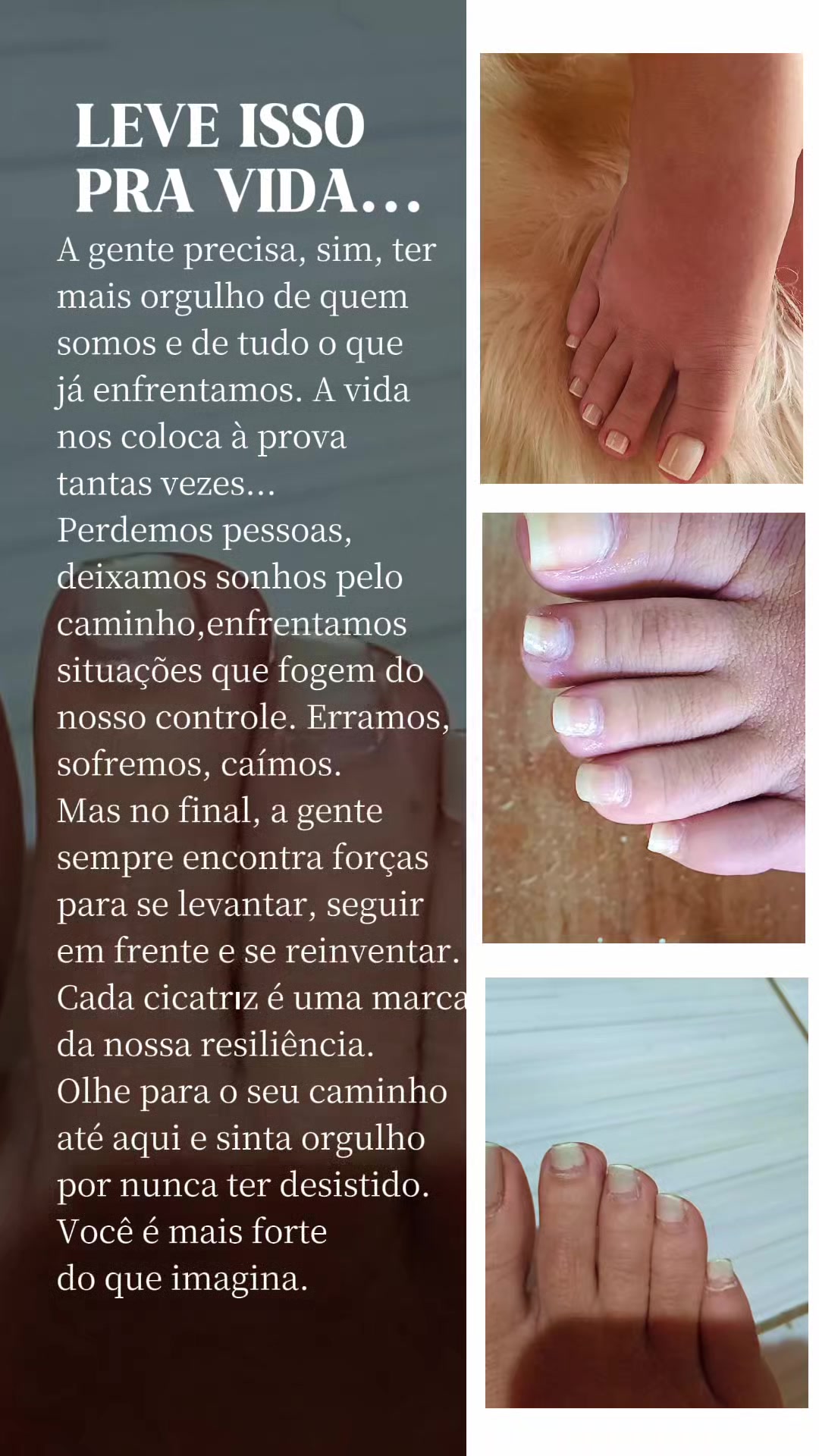 @Vivian Mussio
