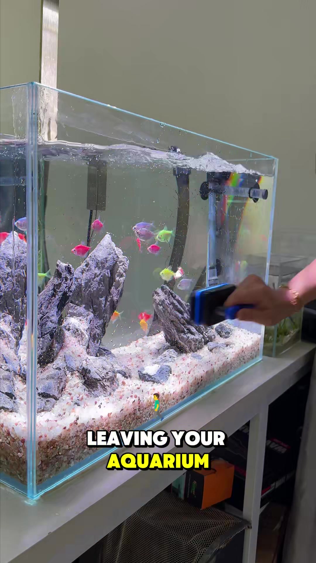 @AQQA Aquarium Store