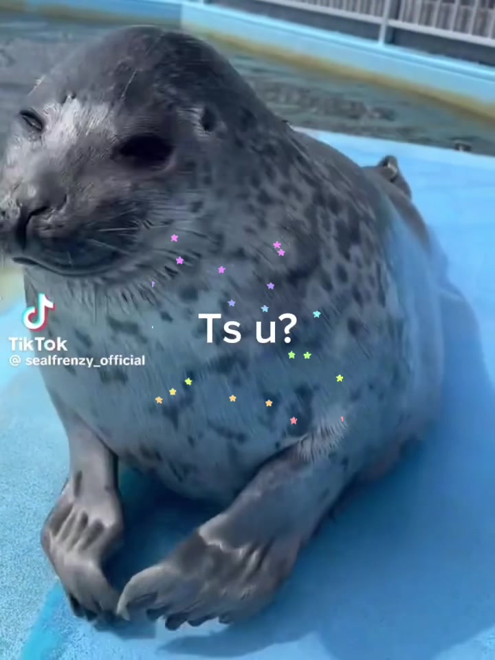 @BaikalSealHugger