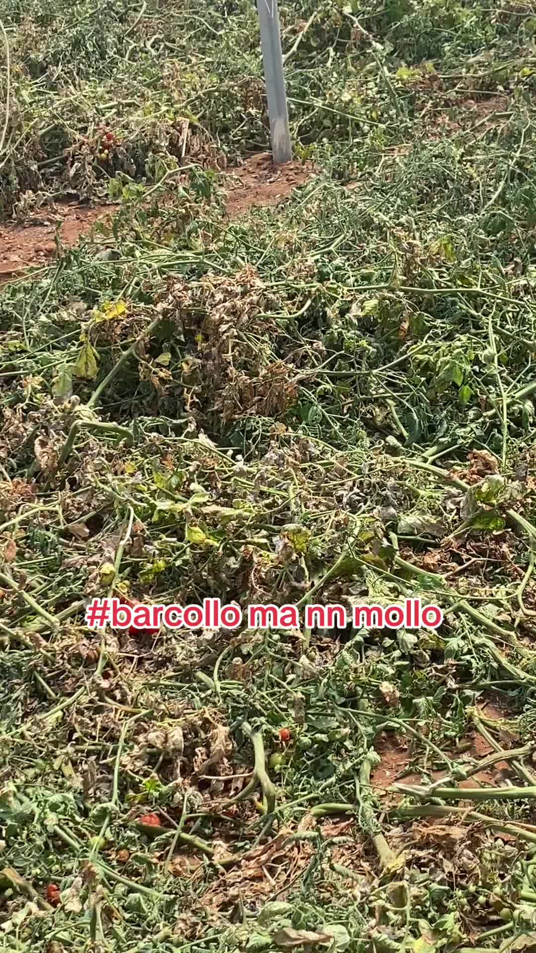 @francescoraimondi85