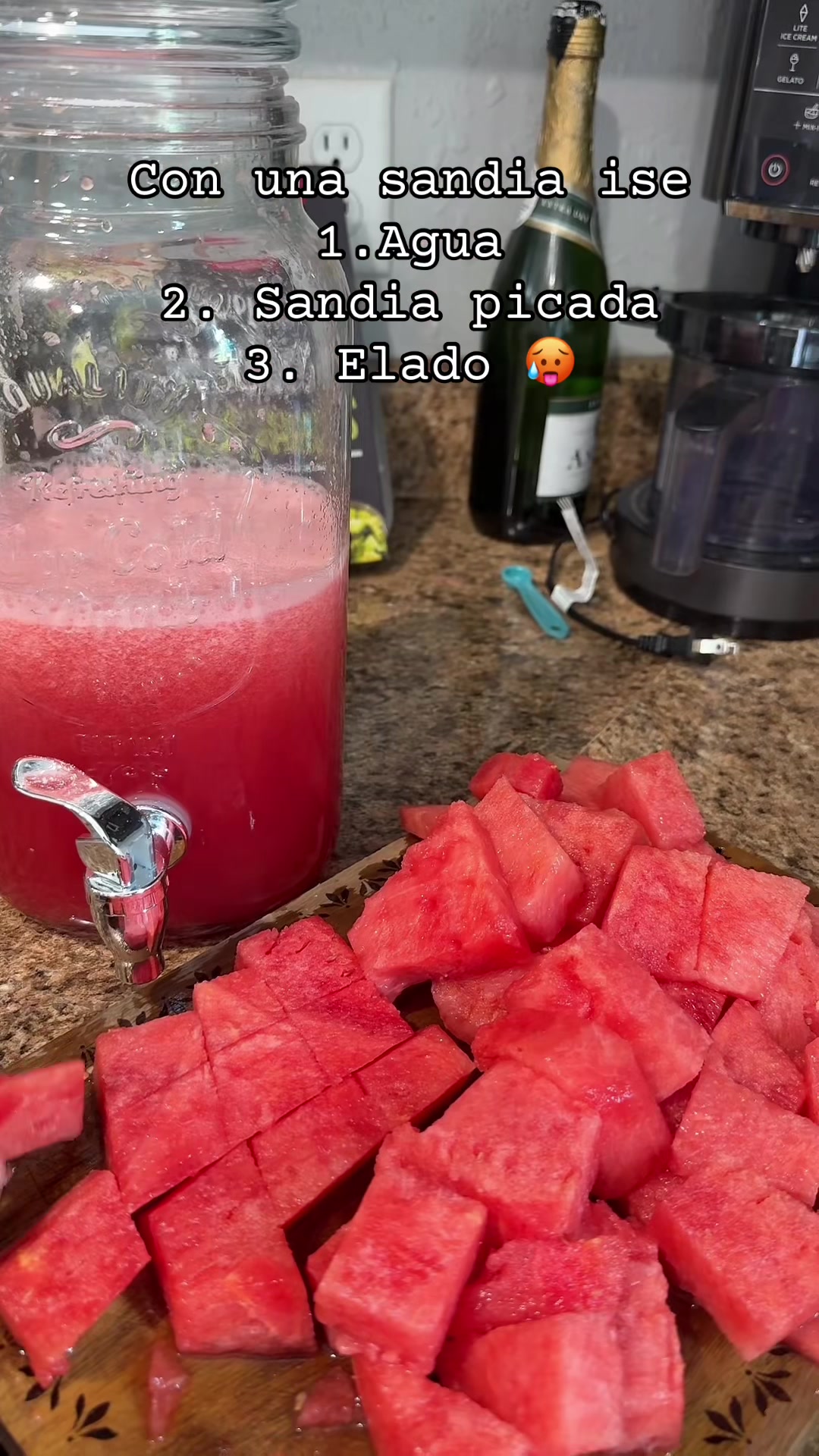 @lifewithspongy