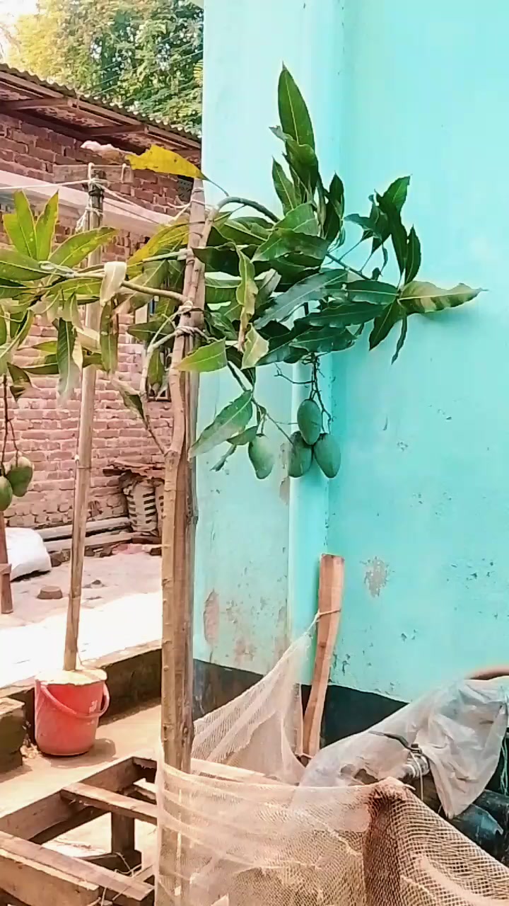 @❤️❤️লামিয়া❤️ইসলাম❤️❤️