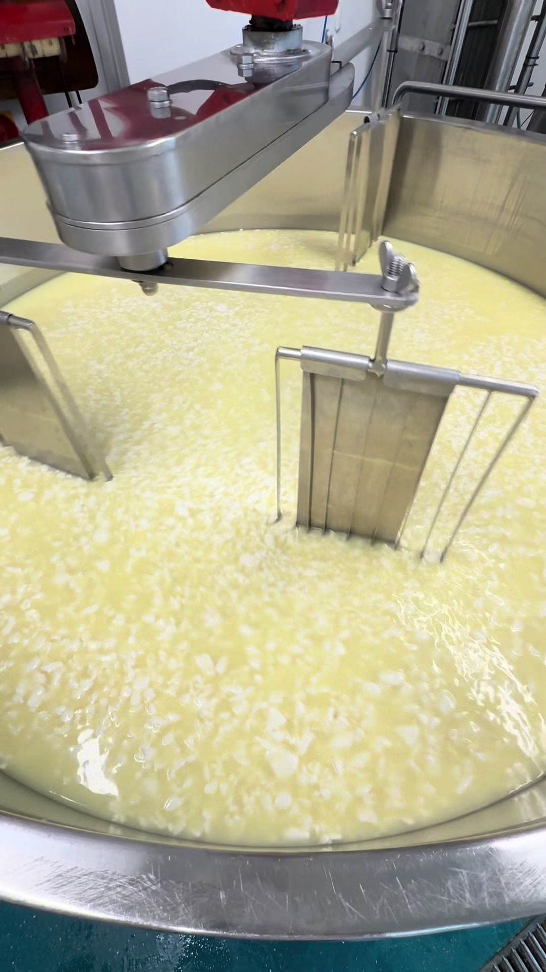 @Yorkshire pecorino