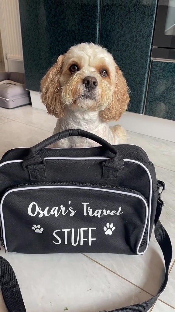 @My Cavachon