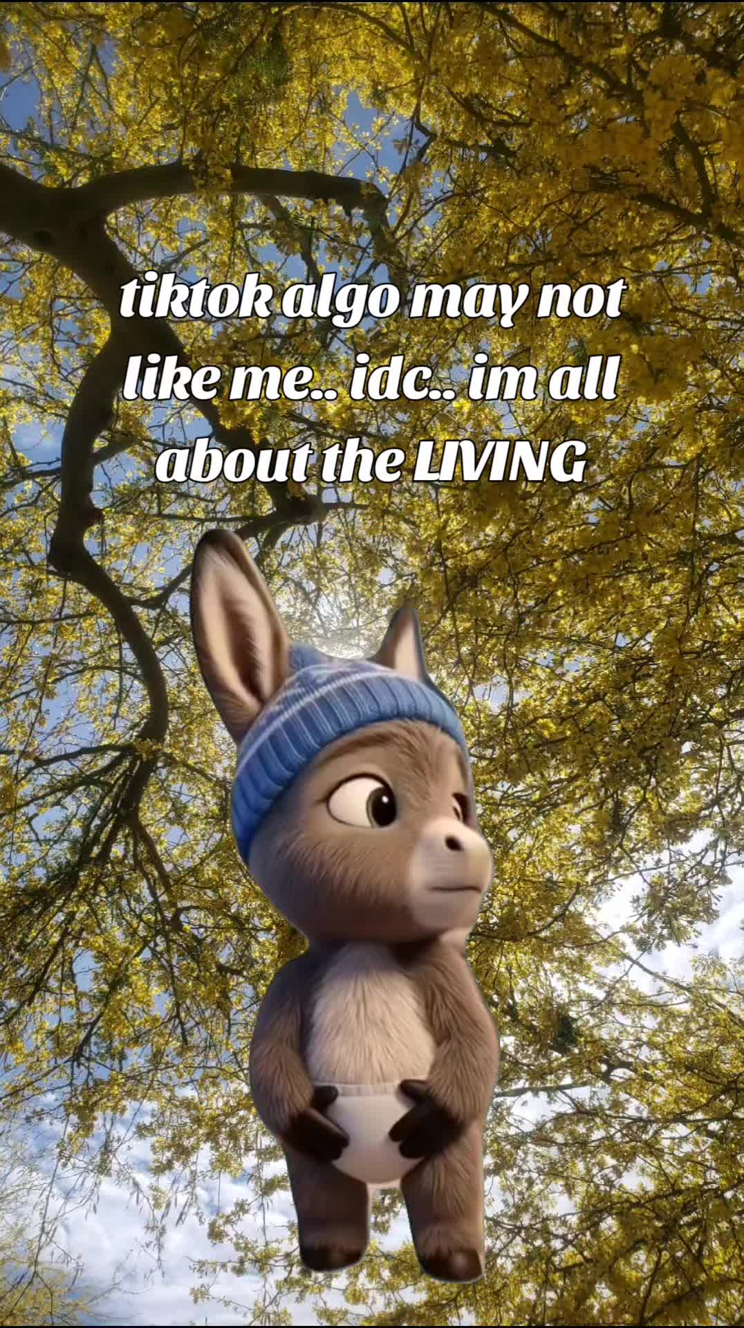 @TheBodyOwl.com