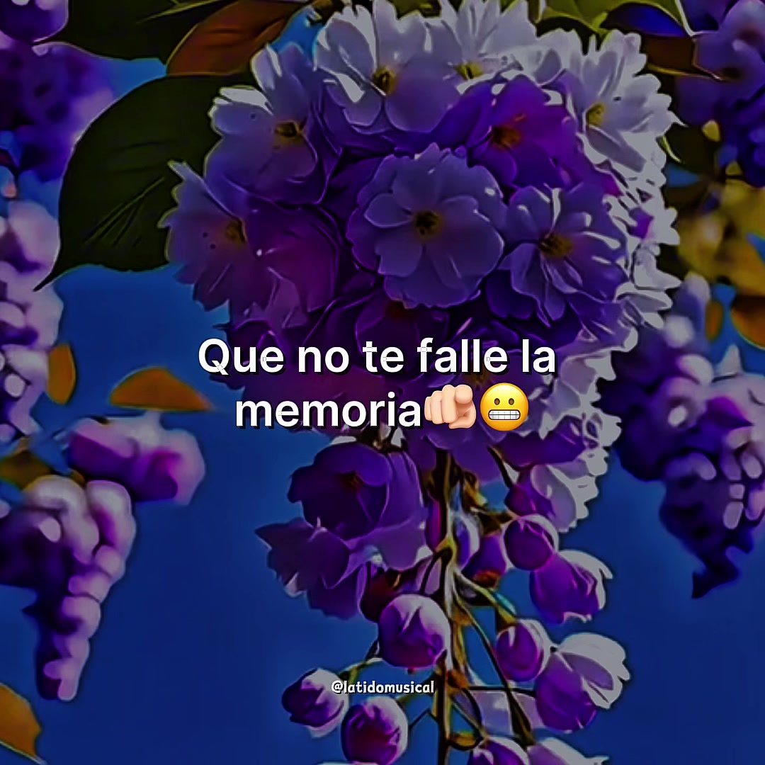 @@latidomusical
