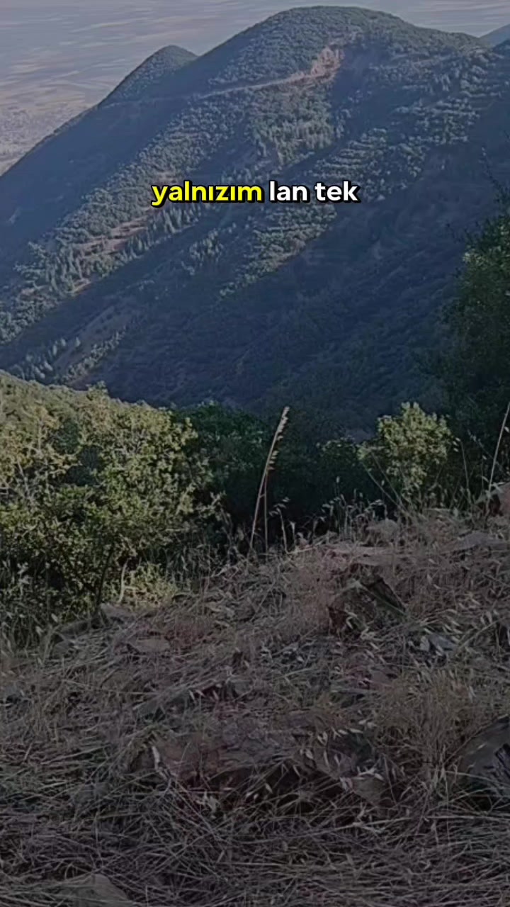 @🦂MEHMET🦂