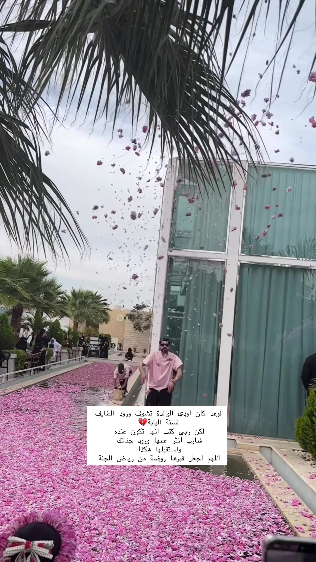 @Wafaa