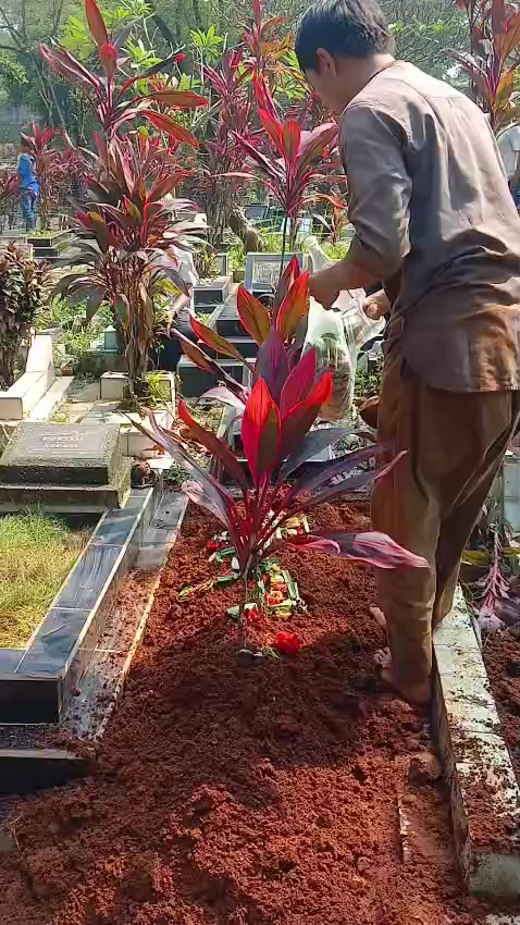 @mamah zul