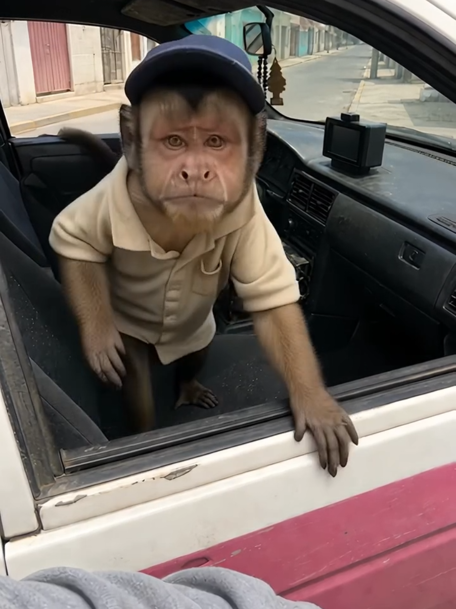 @Aqu&iacute; lo ver&aacute;s ☺️👇