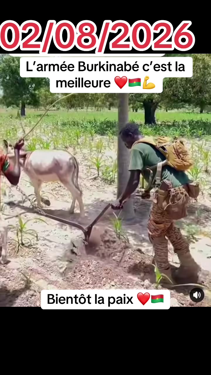 @Losca_Officiel