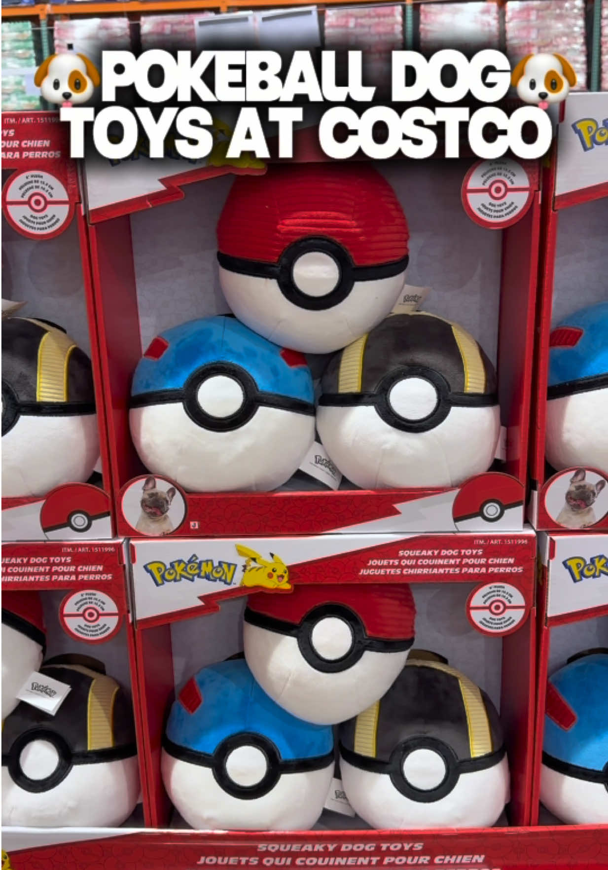 @Costco Wonders