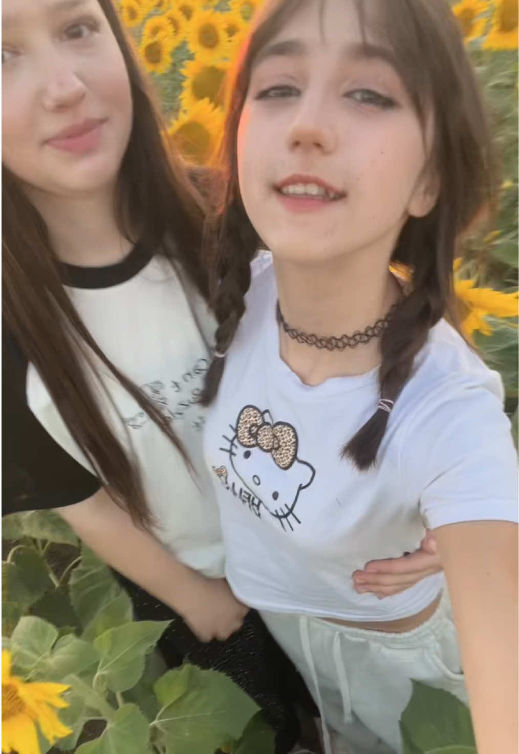 @тгк:мишуня рулит