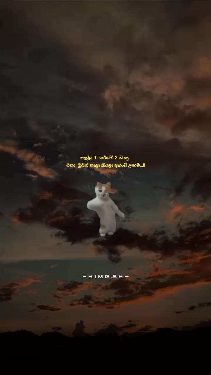 @𝐇𝐈𝐌𝐄𝐒𝐇 