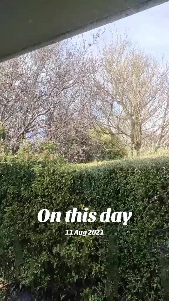 @shellyteddybear1