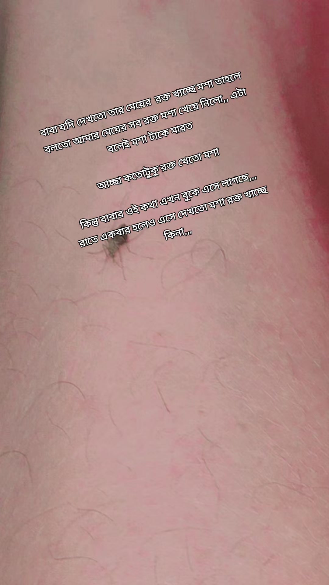 @✅🧆ফুচকা পাগলি🧆✅