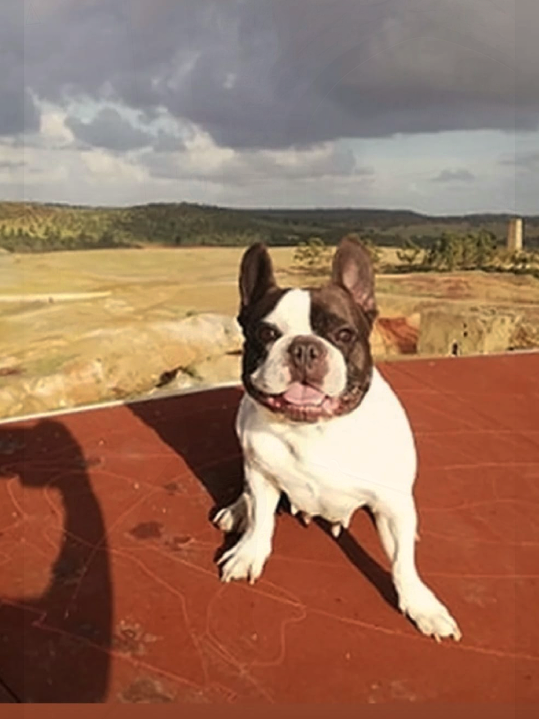 @Parque Mineiro de Aljustrel