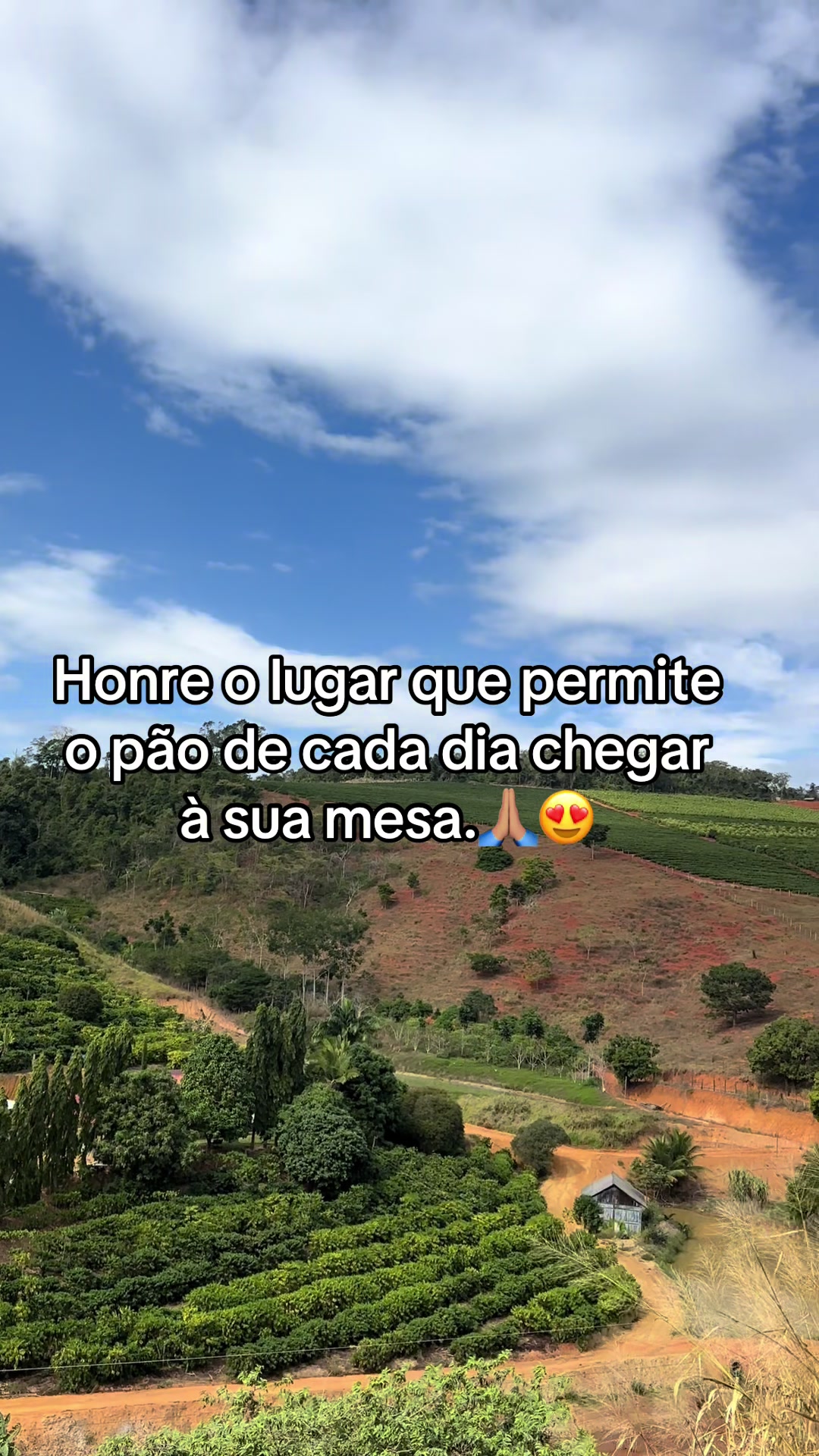@Celidia Capiche