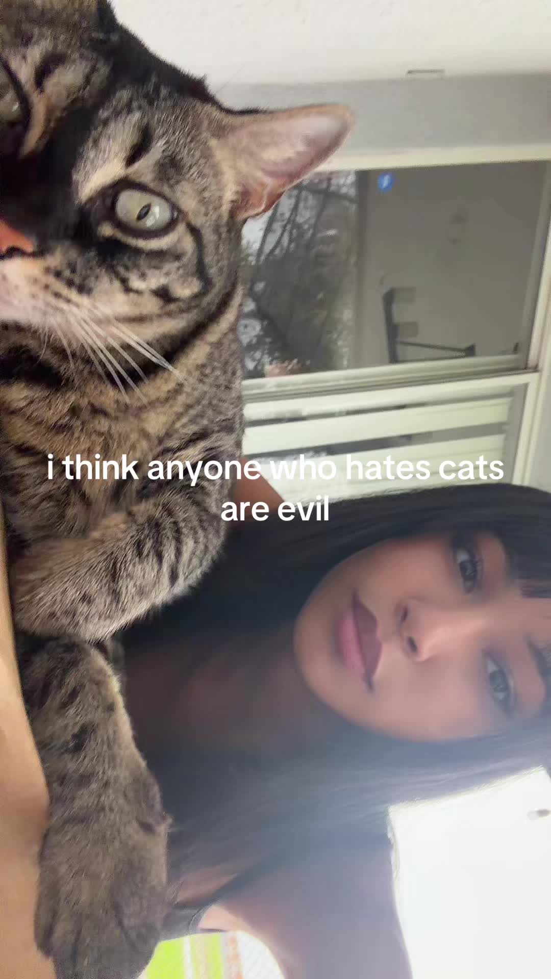 @🐈⬛
