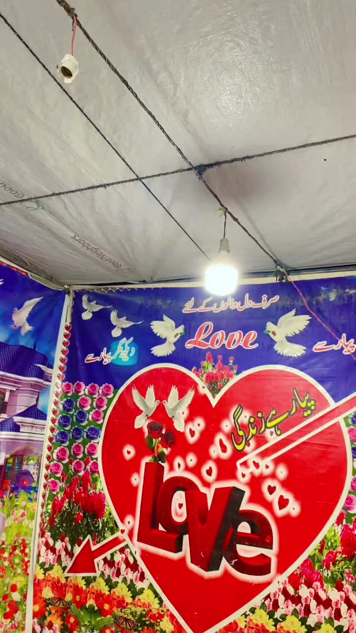 @🌺💚⭐_ᎪƉ𝙉Ꭺ𝙉𝗠ᎪⳑエҚ_🌺💚⭐