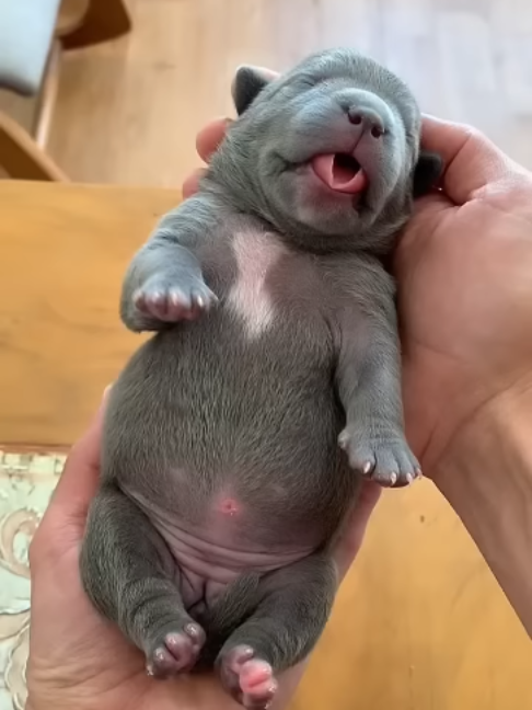 @uxifnfsiyyn