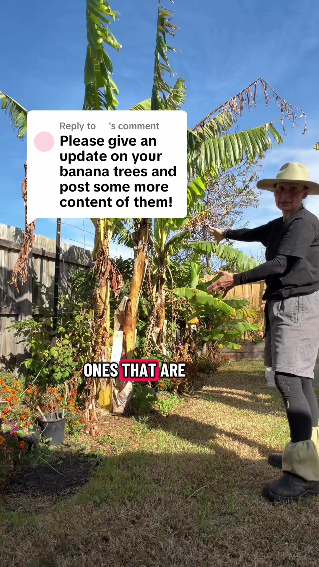 @busy chris gardening