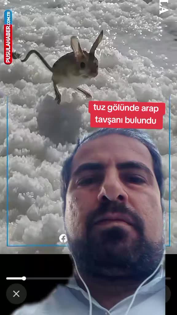 @SON DAKİKA