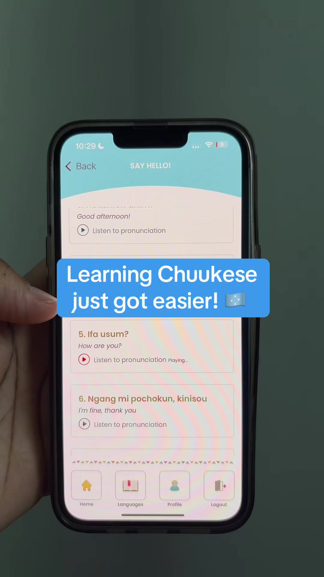 @languagelearner