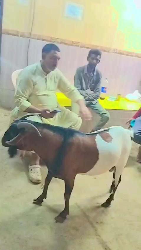 @Faysal Mubin
