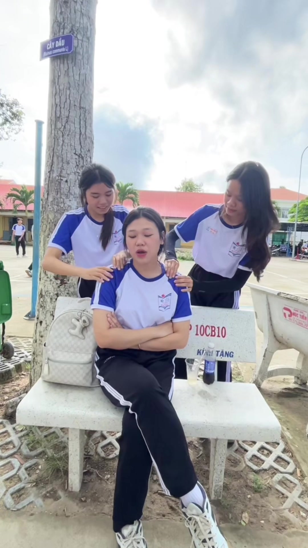 @bí ngô