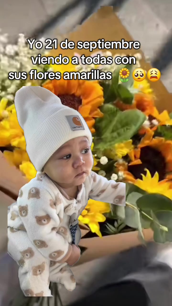 @๐ฆ๐³โถโฐโปืฅ๐ณ๐๐๐