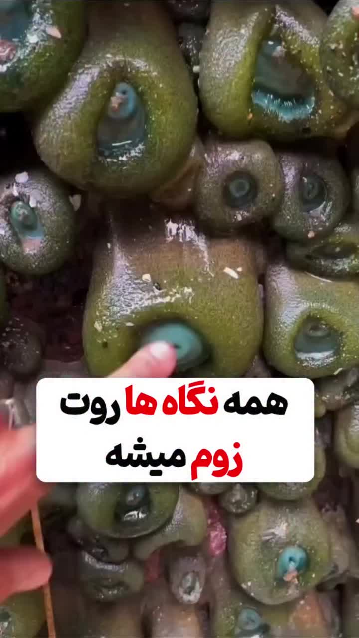 @beauty__land10