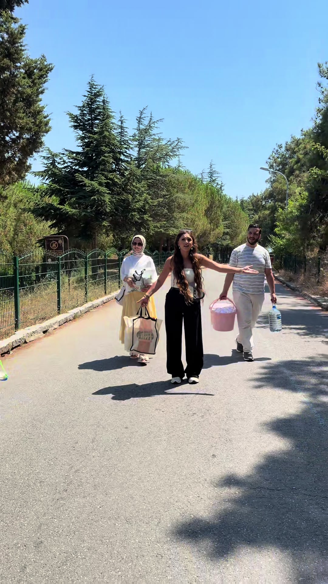 @Sevilay algül