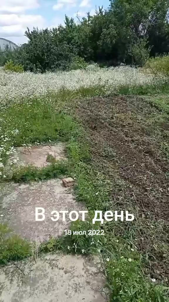 @Роман
