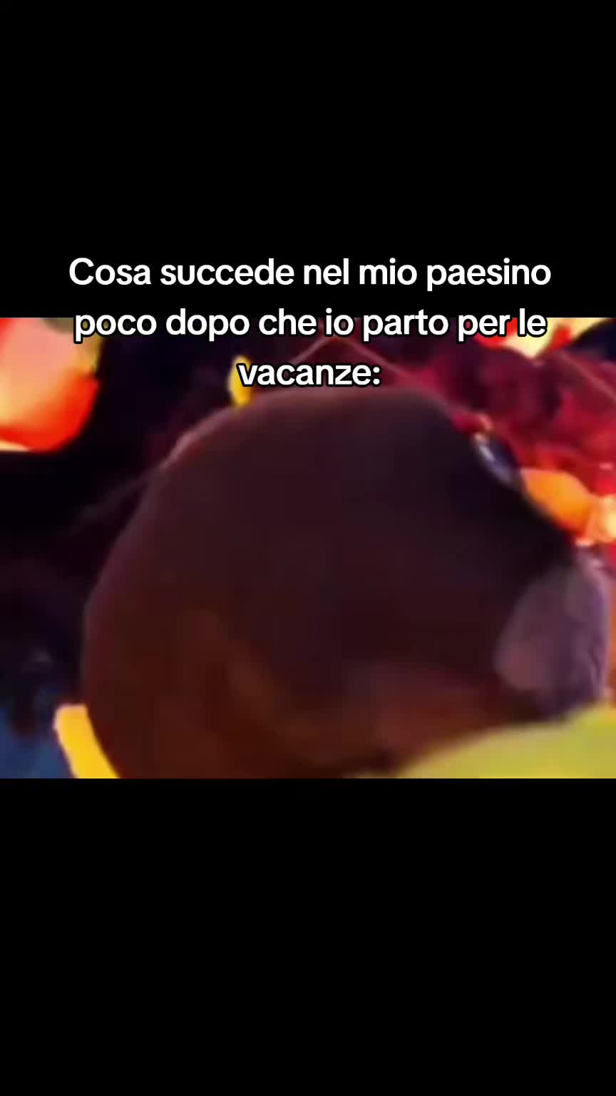 @Il.tiktoker.grammichelese
