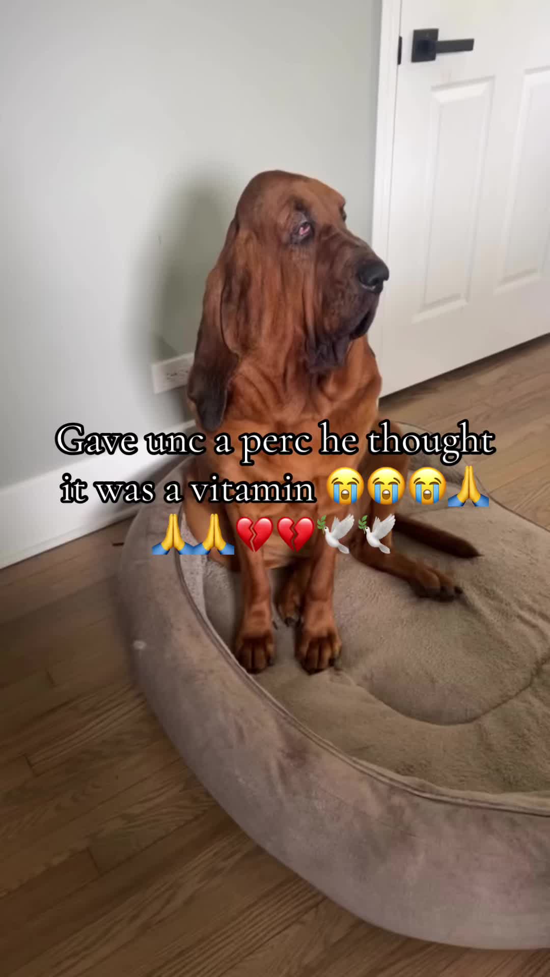 @Ja