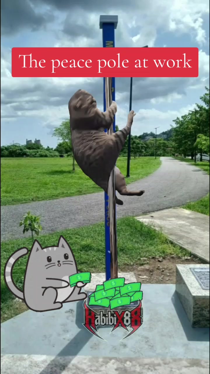 @โโฎ๐ณ๐๐๐๐๐๊ผ๐ ๐๐ โฎโ๐ดโ๐พ
