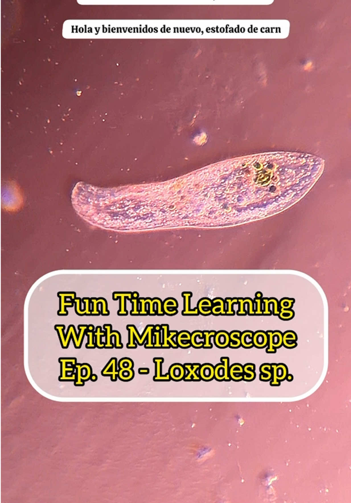 @Mikecroscope