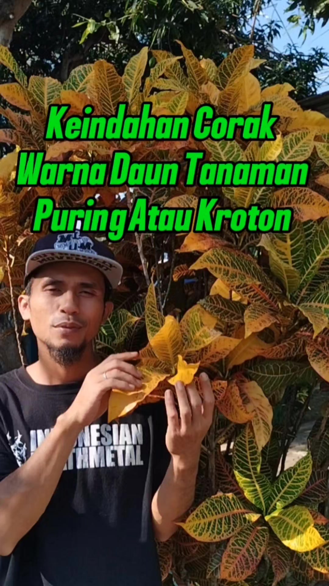 @Bukit Farming