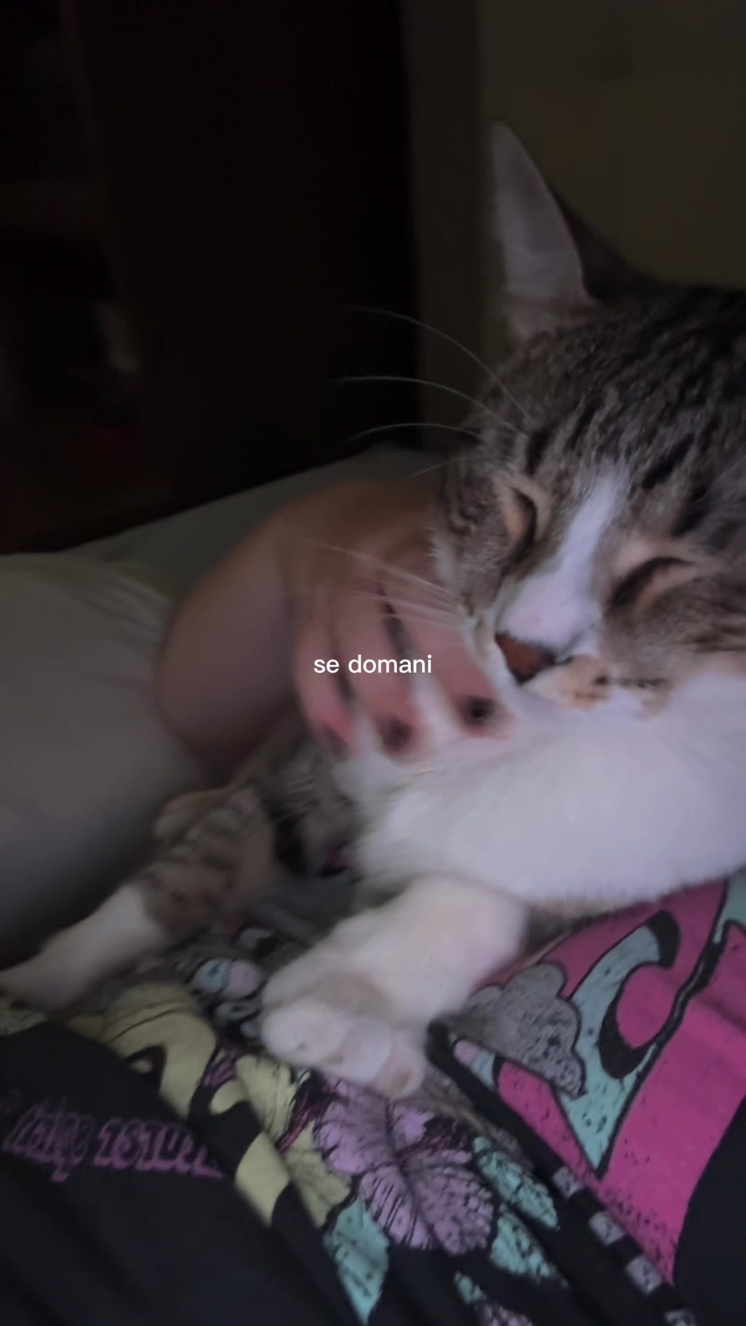 @Em🐈⬛